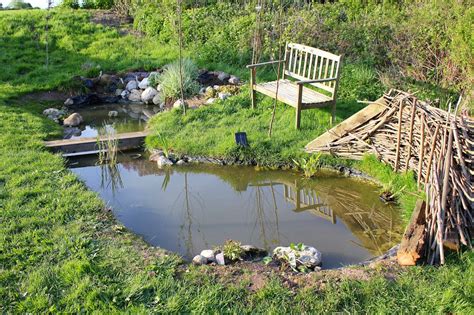 HOW TO ATTRACT WILDLIFE INTO THE GARDEN WITH A POND |The Garden of Eaden