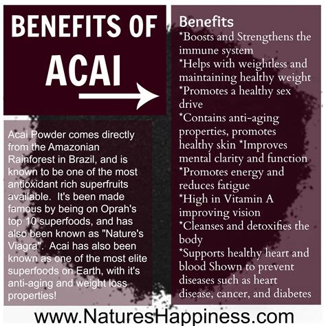 Benefits of Acai Berries | Non-GMO and Organic at Nature's Happpinesd ...