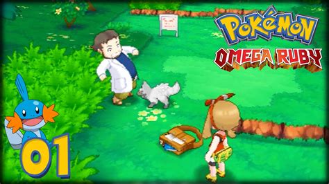 POKEMON DELTA EMERALD / POKEMON OMEGA RUBY EMULADO DE 3Ds ESPAÑOL 64 BITS