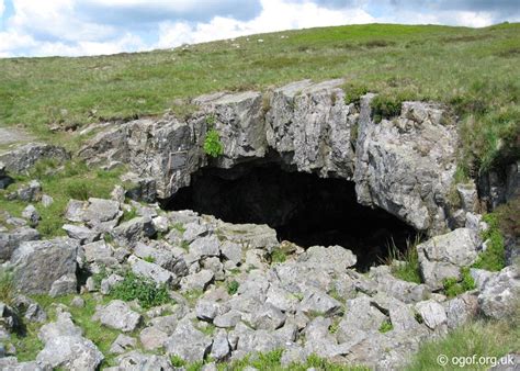 cave entrance - Google Search | Cave entrance, Entrance, Cave photos