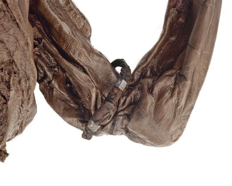 Museum of artifacts | Bog body, Iron age, Bogs