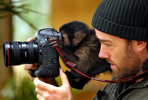 Funny Animals With Cameras New Photos/Images 2012 | All Funny