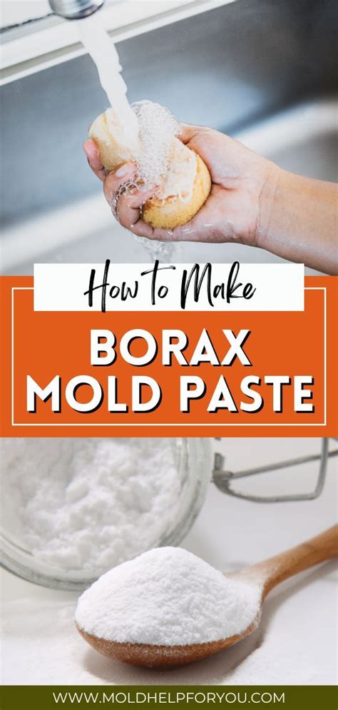 How to Make Borax Mold Paste | Mold remover on wood, Mold remover ...