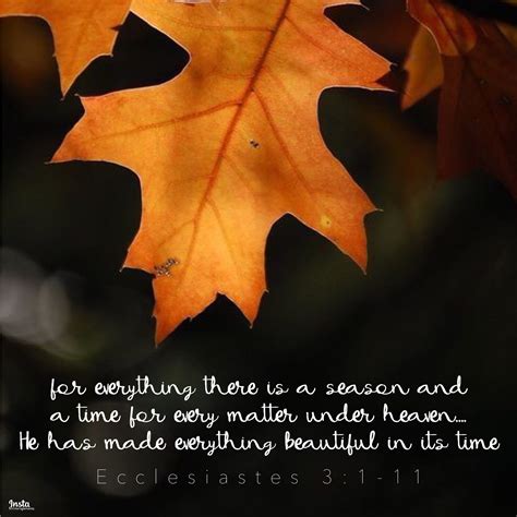 For everything there is a season, and a time for every matter under heaven... Ecclesiastes 3:1-8 ...