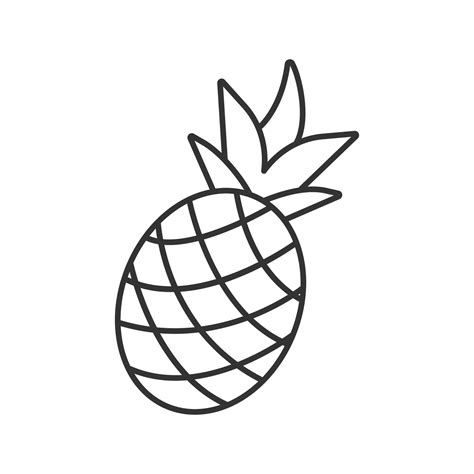 Pineapple linear icon. Thin line illustration. Ananas. Contour symbol ...