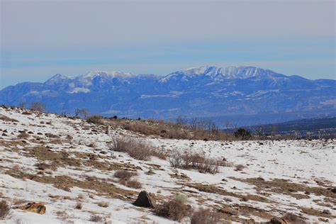 Can you find the elk? | Utah Wildlife Forum