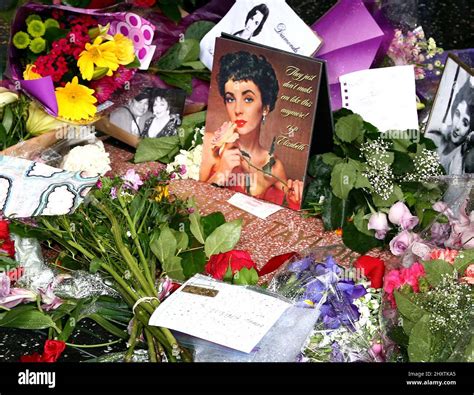 Flowers Placed on the Hollywood Walk of Fame Star for Elizabeth Taylor Stock Photo - Alamy