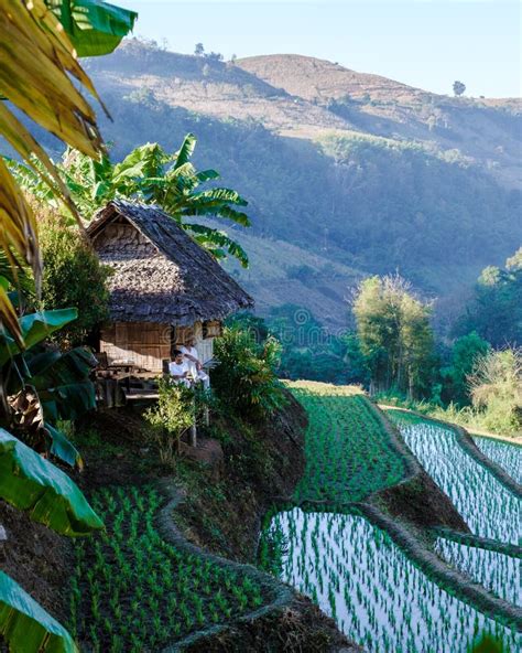 Couple Visit a Rice Farm with Rice Fields in Northern Thailand,rice Paddies in Mountains Chiang ...