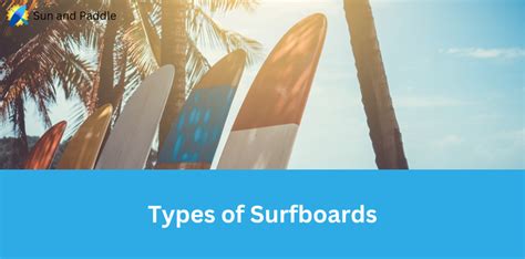 Types of Surfboards: A Comprehensive Guide - Sun and Paddle