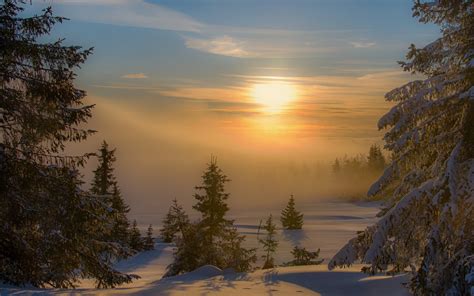 landscape, Nature, Sunset, Winter, Mist, Forest, Snow, Trees, Cold, Shadow Wallpapers HD ...