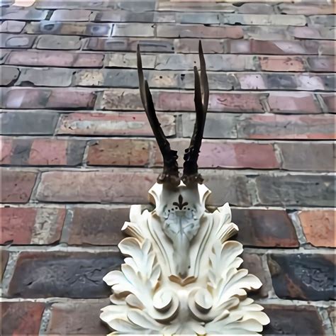 Roe Deer Antlers for sale in UK | 49 used Roe Deer Antlers