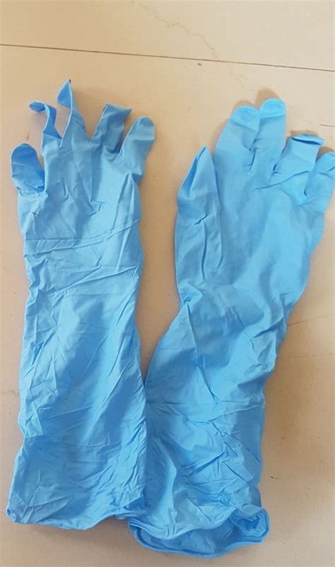 Blue Nitrile Long Cuff Gloves, Size: 16 Inch at Rs 35/pair in Indore ...