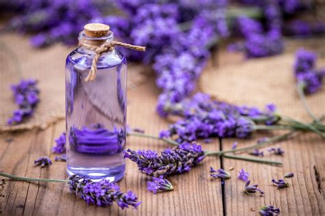 Are Terpenes Essential Oils? Terpenes For Anxiety & Pain – Nutura Wellness