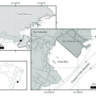 | Location of Araçá Bay on the northern coast of São Paulo State,... | Download Scientific Diagram