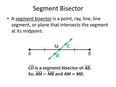 Segment Bisector Geometry