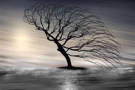 LARGE SURREAL TREE Fine Art on Canvas Photography Composite on