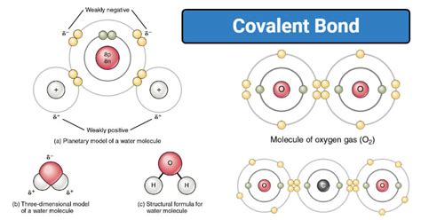 Covalent Bond- Definition, Properties, Types, Examples