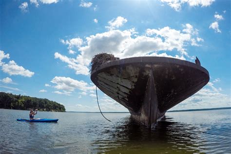 Mallows Bay Kayaking | Tour guide, Fleet, Tours