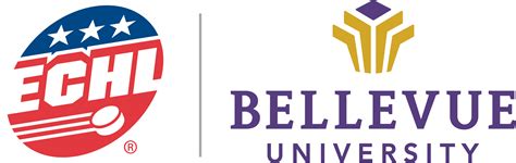 Scholarships that are Renewable Year over Year | Bellevue University