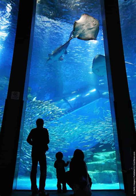 Yokohama Hakkeijima Sea Paradise » GagDaily News