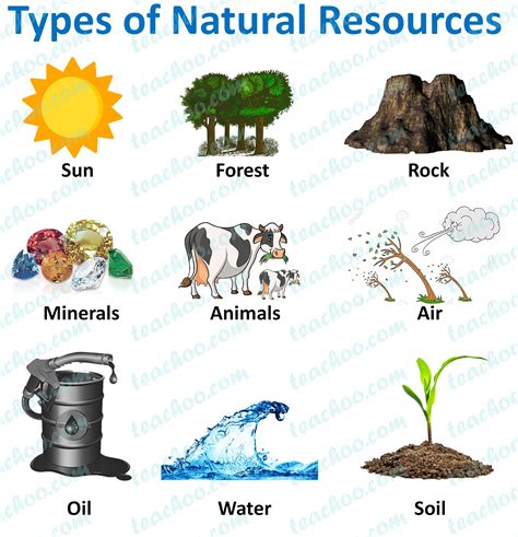 Conservation Of Natural Resources