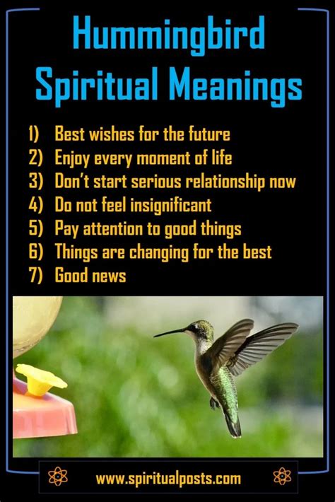 6 Spiritual Meanings of Seeing a Hummingbird & Symbolism | Spiritual Posts