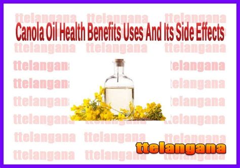 Health Benefits Of Canola Oil Uses And Its Side Effects