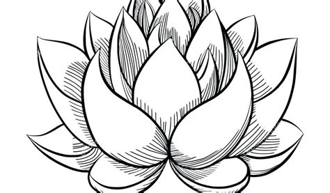 Drawing Photo Flower : Lotus Flower Drawing Cliparts Drawings Japanese ...