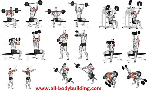 Shoulders Workout - Put Cannonballs on Your Sides With This Intense Routine! ~ multiple fitness