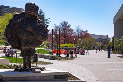 A new HokieBird joins two old favorites on the | The Hokie Family Hub