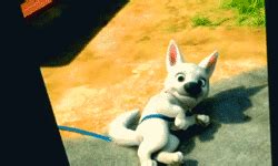 bolt cute gif | WiffleGif