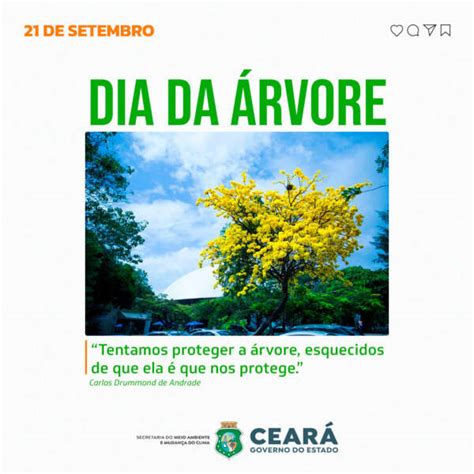 Hoje o Brasil celebra o Dia da Árvore - Secretaria do Meio Ambiente