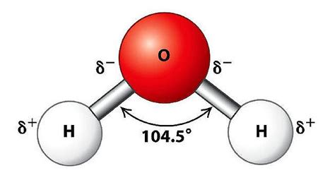 Dihydrogen Monoxide: The Dangers Of This Hazardous Menace