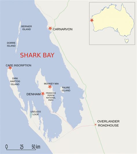 Shark Bay: A World Heritage Site at catastrophic risk - Fremantle Shipping News