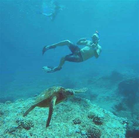 Best Places to Snorkel on Oahu's North Shore - Backpackers Vacation Inn and Plantation Village