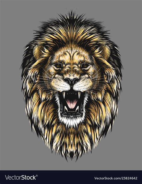 Hand drawn sketch lion head in color isolated Vector Image