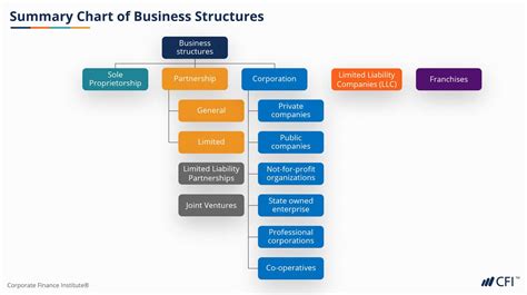 What Are The 3 Types Of Business Structures - businesser