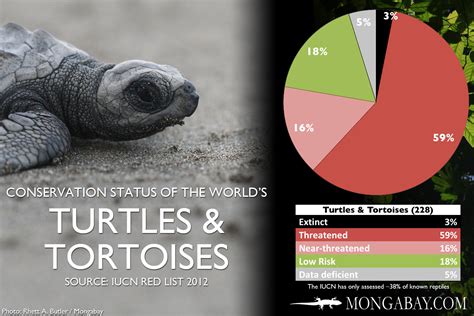 CHART: The world's most endangered turtles and tortoises