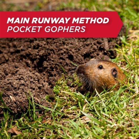 AMDRO 1 lb. Mole and Gopher Killer Bait-100510486 - The Home Depot