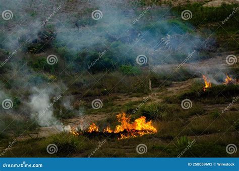 Slash Burn Method Stock Photos - Free & Royalty-Free Stock Photos from Dreamstime