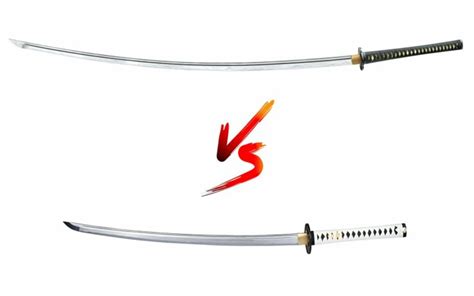 Tachi vs Katana: Design, History, and Combat Differences