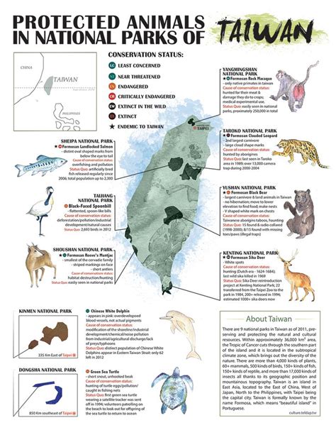 Ecology infographic on endangered animals in Taiwan. | Endangered ...