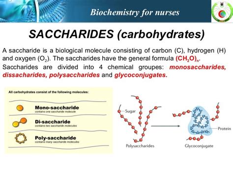 Saccharides (carbohydrates)