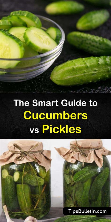 Differences between Pickles and Cucumbers