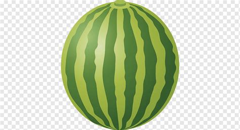 Watermelon graphy, watermelon, white, food, illustrator png | PNGWing