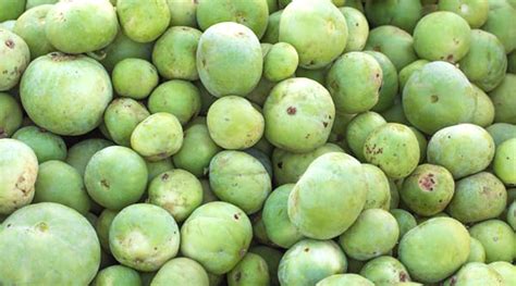 Tinda (Round Gourd) Health Benefits: From Smooth Digestion to Strong Heart, 5 Reasons to Eat ...