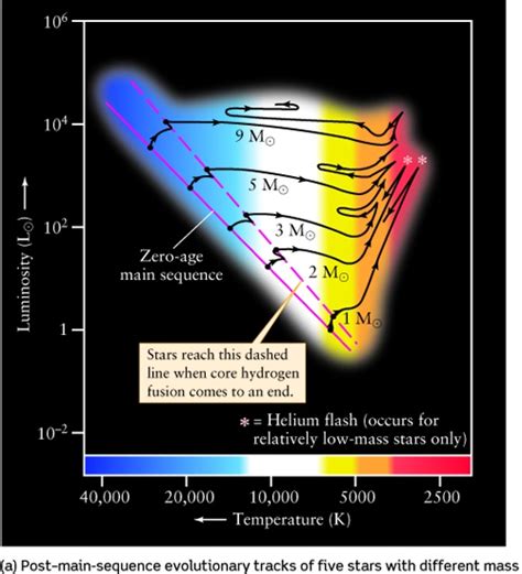 Lecture 17: Evolution of Low Mass Stars