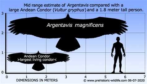 Argentavis - Alchetron, The Free Social Encyclopedia