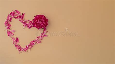 Colorful Mixed Flowers in Shape of Heart on Beige Background. Concept of Love and Valentines Day ...