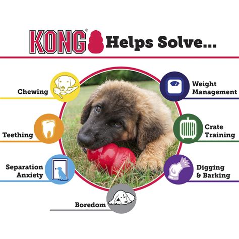 Kong Dog Toys For Aggressive Chewers – Wow Blog